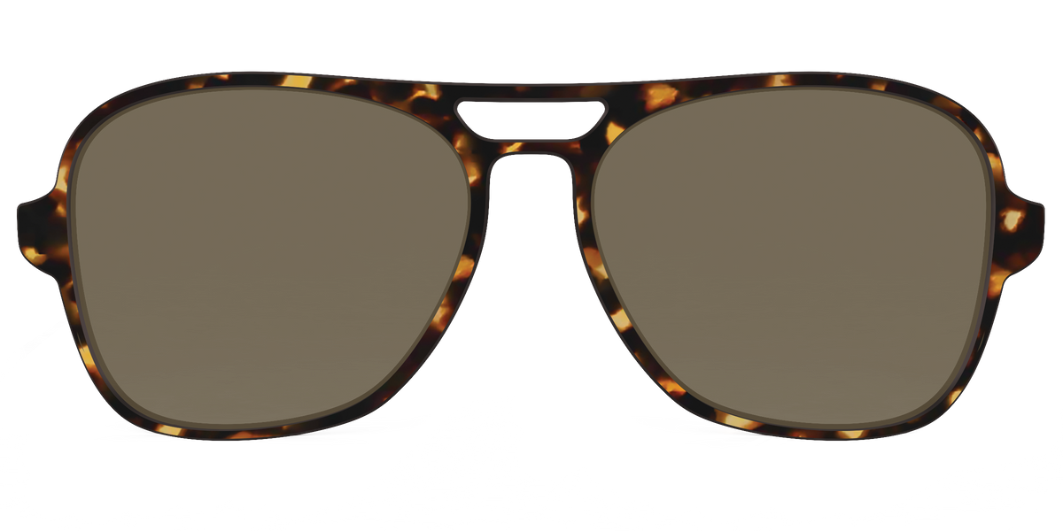 The Polarized Tortoise Sun Top - Front Top Image - Pair Eyewear