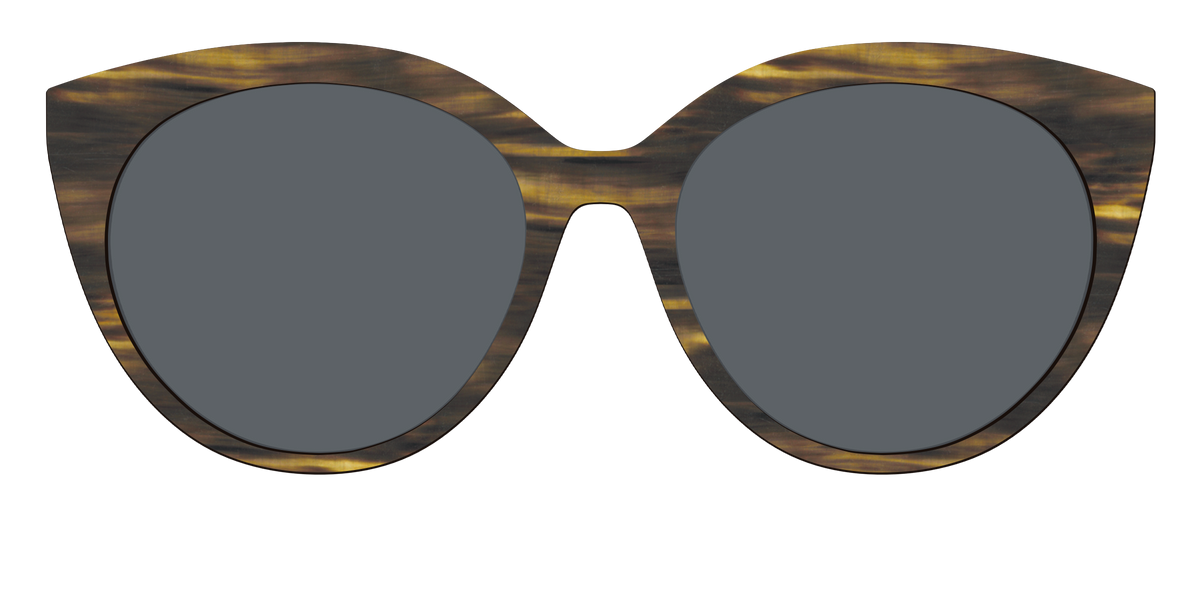 The Polarized Horn Sun Top - Front Top Image - Pair Eyewear