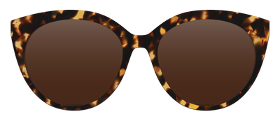 The Polarized Tortoise Sun Top - Front Top Thumbnail - Pair Eyewear
