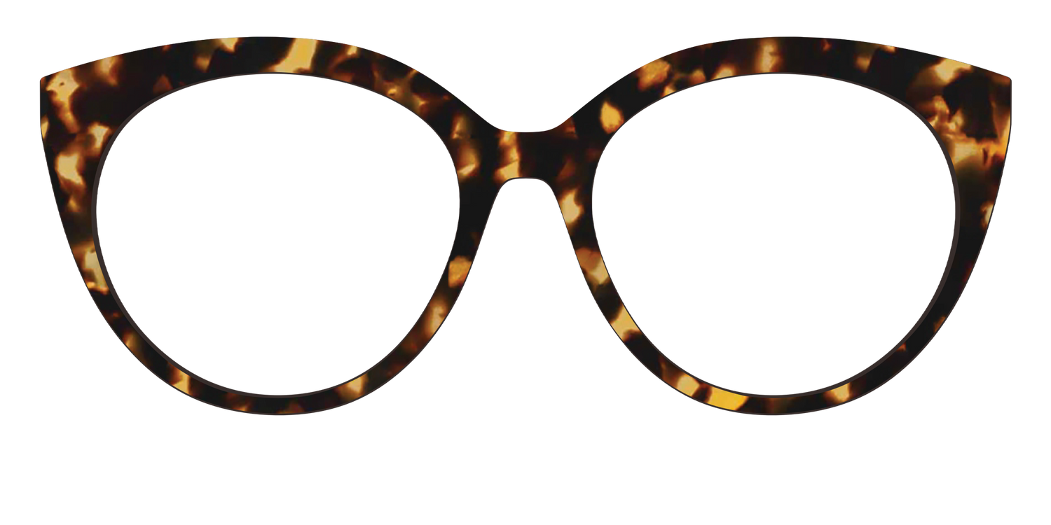 The Tortoise - Front Top Image - Pair Eyewear
