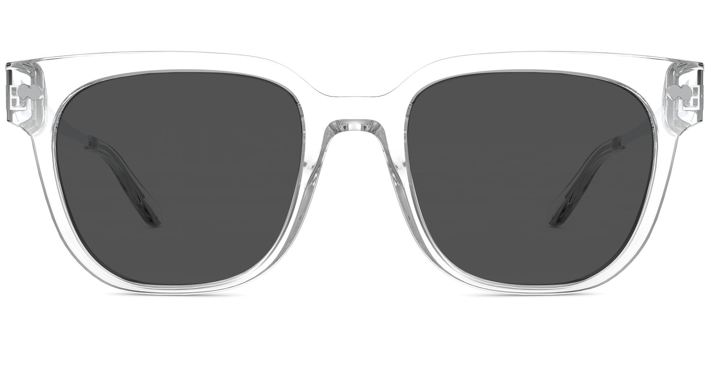 The Murphy - Crystal Clear Acetate Silver Metal Sun - Carousel3 - Pair Eyewear