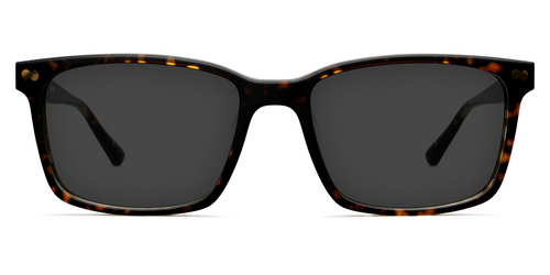 The Kirby - Tortoise Sun - Pair Eyewear