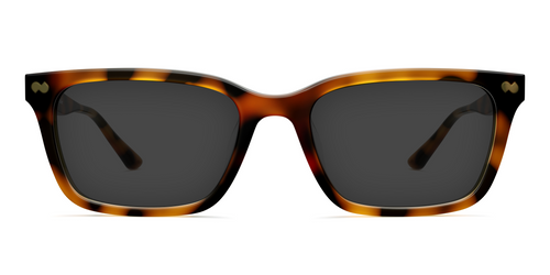 The Larkin - Tortoise Sun - Pair Eyewear