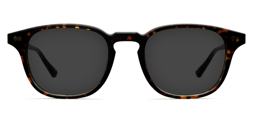 The Otis - Tortoise Sun - Pair Eyewear