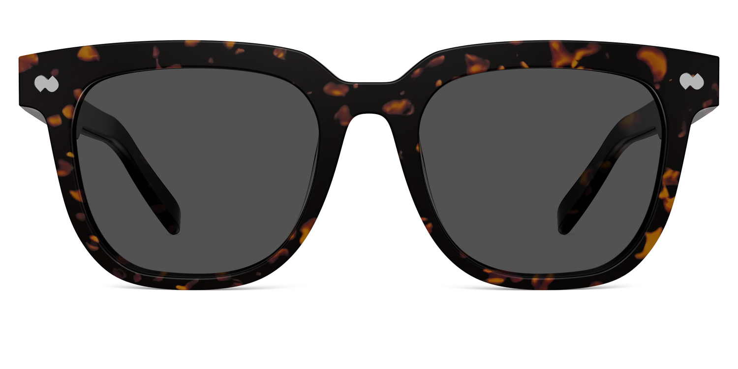 The Payton - Tortoise Sun - Carousel1 - Pair Eyewear