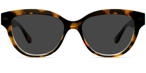 The Quinn - Tortoise Sun - Pair Eyewear