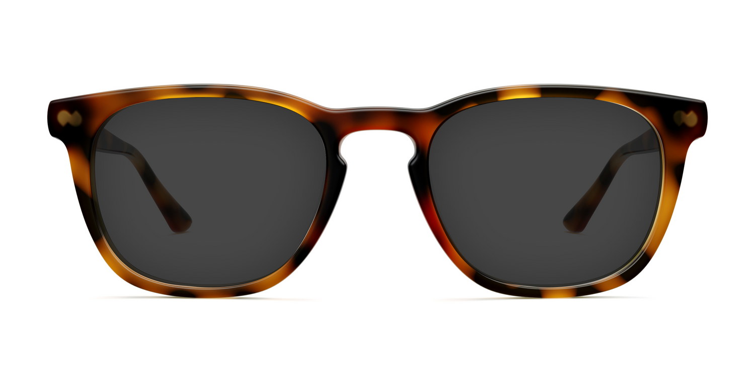 The Twain - Tortoise Sun - Carousel1 - Pair Eyewear