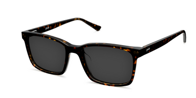 The Kirby - Tortoise Sun - Thumbnail3 - Pair Eyewear