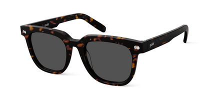 The Payton - Tortoise Sun - Thumbnail3 - Pair Eyewear