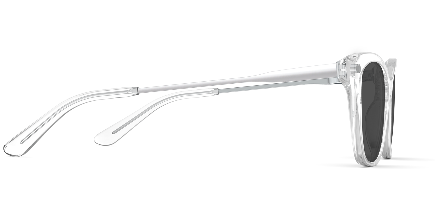 The Wanda - Crystal Clear Acetate Silver Metal Sun - Carousel5 - Pair Eyewear