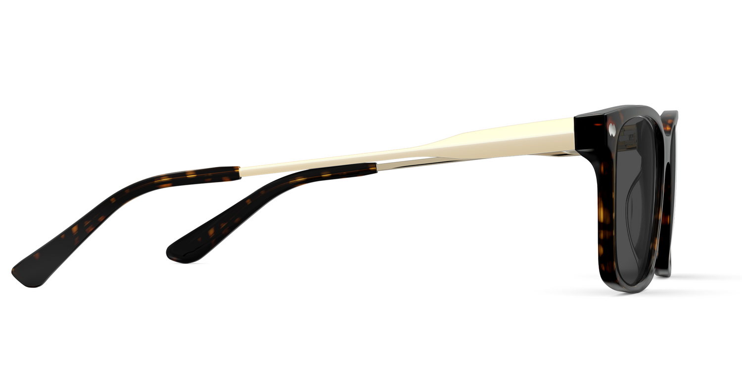 The Kirby - Tortoise Acetate Gold Metal Sun - Carousel5 - Pair Eyewear