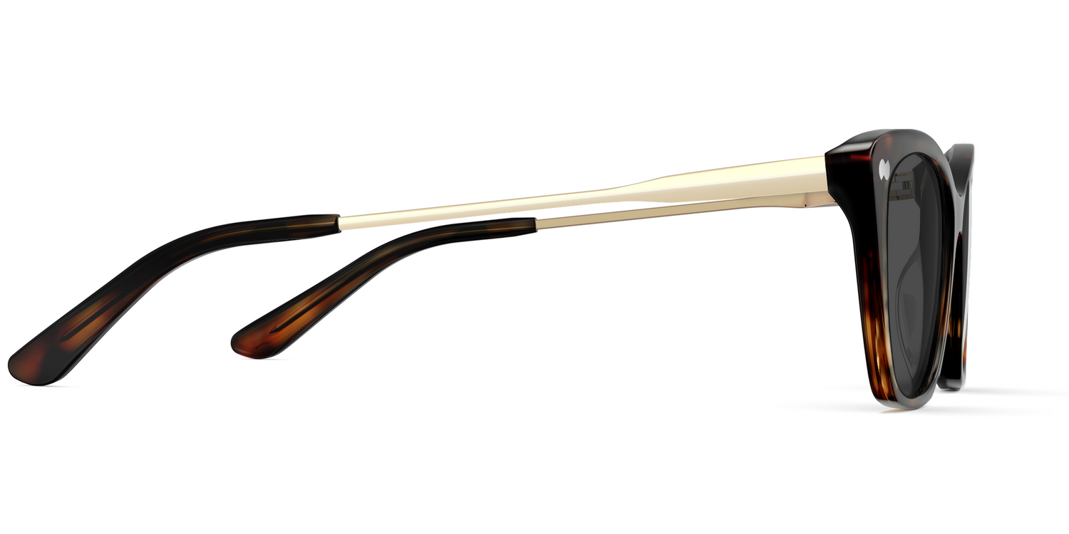 The Wanda - Tortoise Acetate Gold Metal Sun - Carousel5 - Pair Eyewear