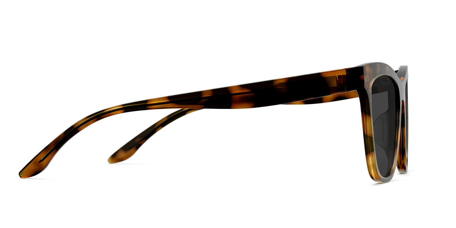 The Harper - Tortoise Sun - Carousel5 - Pair Eyewear