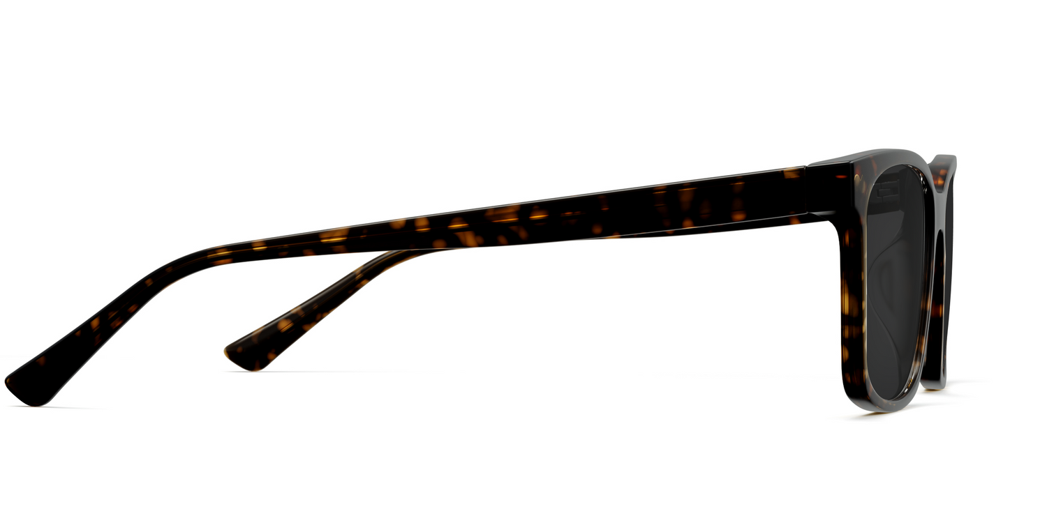 The Kirby - Tortoise Sun - Carousel5 - Pair Eyewear