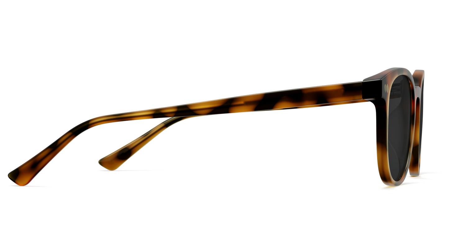The Reese - Tortoise Sun - Carousel5 - Pair Eyewear