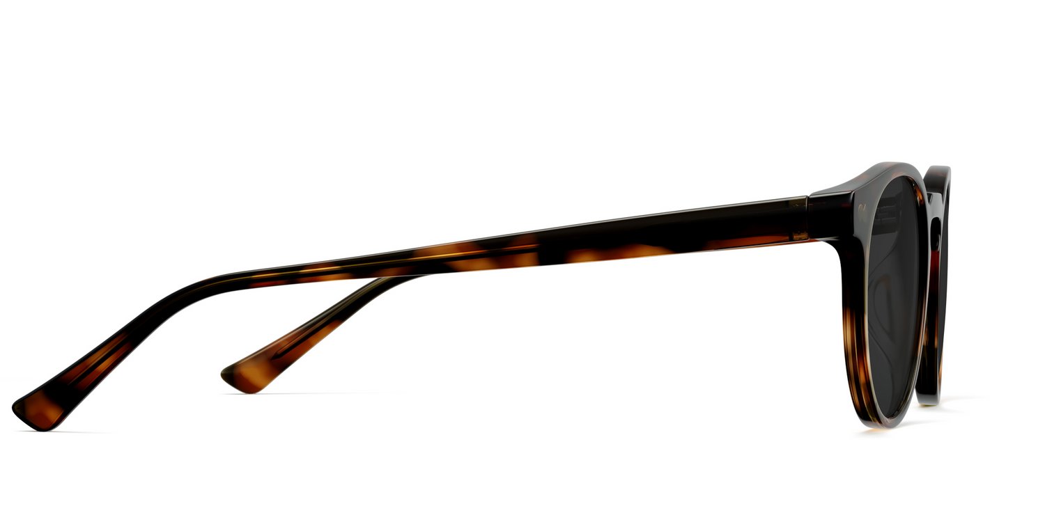 The Soto - Tortoise Sun - Carousel5 - Pair Eyewear