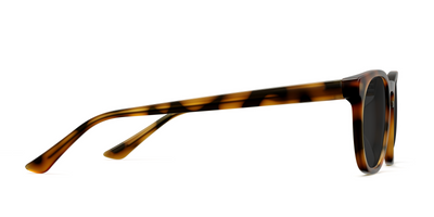 The Twain - Tortoise Sun - Thumbnail5 - Pair Eyewear