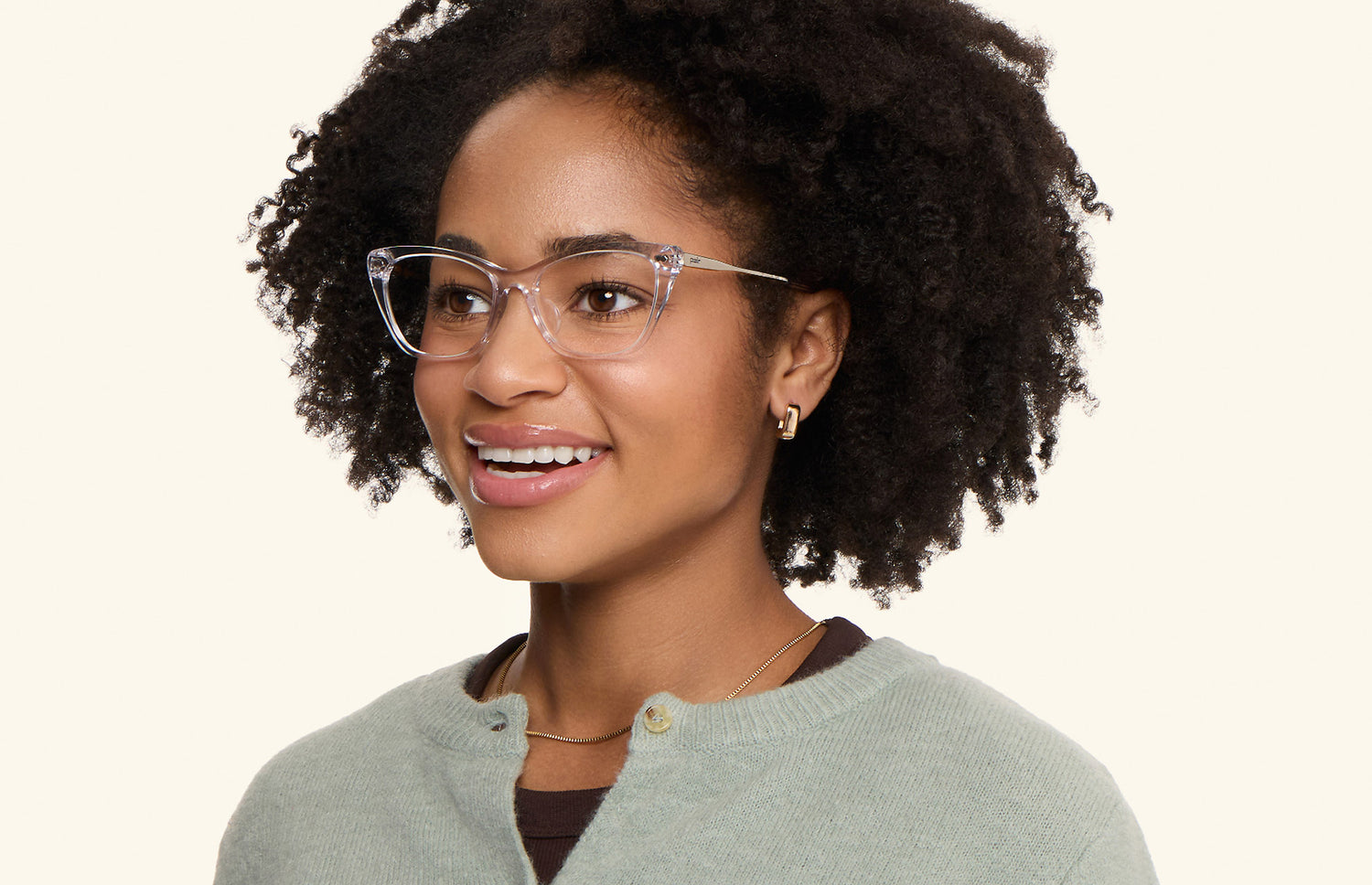 The Wanda - Crystal Clear Acetate Silver Metal - LifeStyle4 - Pair Eyewear