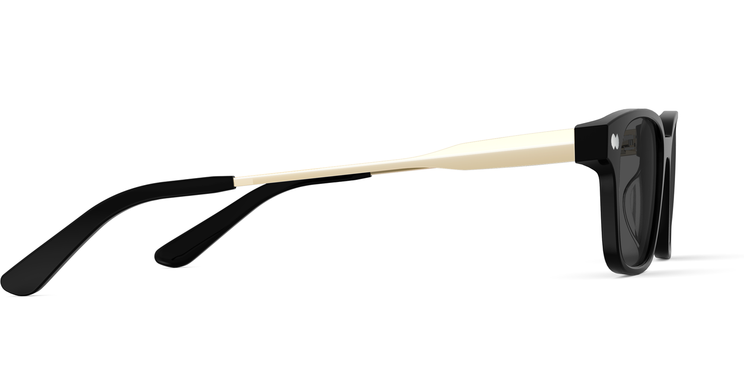 The Finley - Black Acetate Gold Metal Sun - Carousel5 - Pair Eyewear