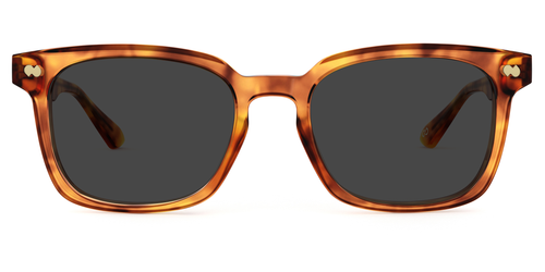 The Iverson - Forte - Lensless - Pair Eyewear
