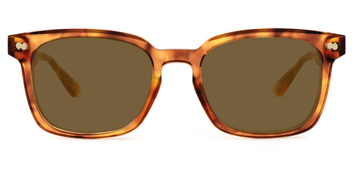 The Iverson - Forte - Lensless - Secondary Image - Pair Eyewear