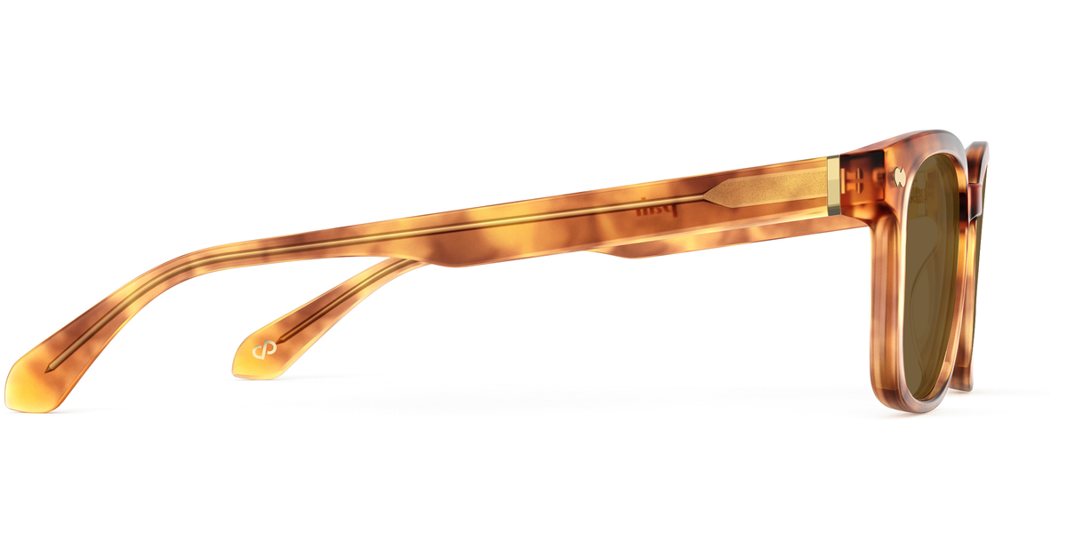 The Iverson - Carousel 6 - Pair Eyewear