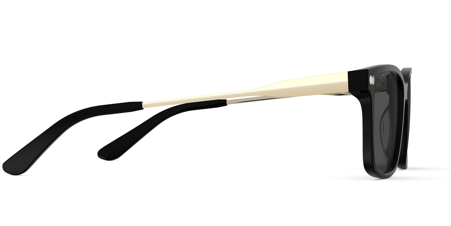 The Kirby - Black Acetate Gold Metal Sun - Carousel5 - Pair Eyewear