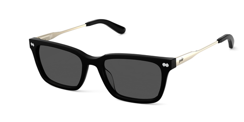 The Larkin - Black Acetate Gold Metal Sun - Pair Eyewear