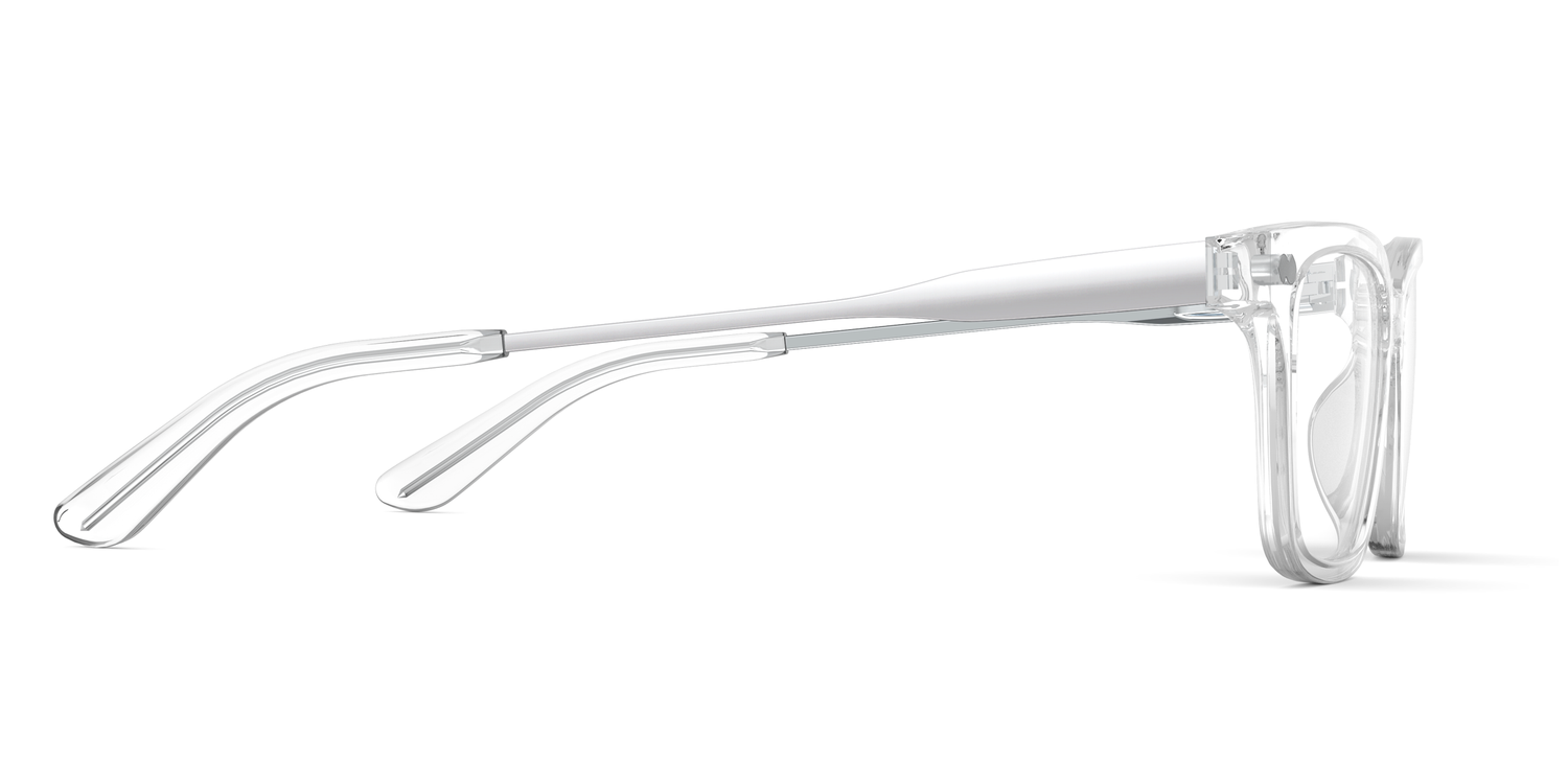 The Larkin - Crystal Clear Acetate Silver Metal - Carousel3 - Pair Eyewear