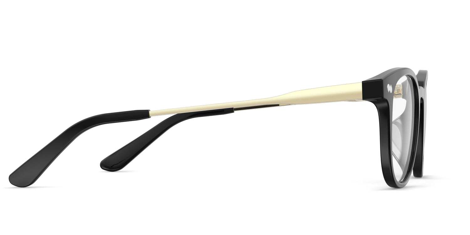 The Reese - Black Acetate Gold Metal - Carousel3 - Pair Eyewear
