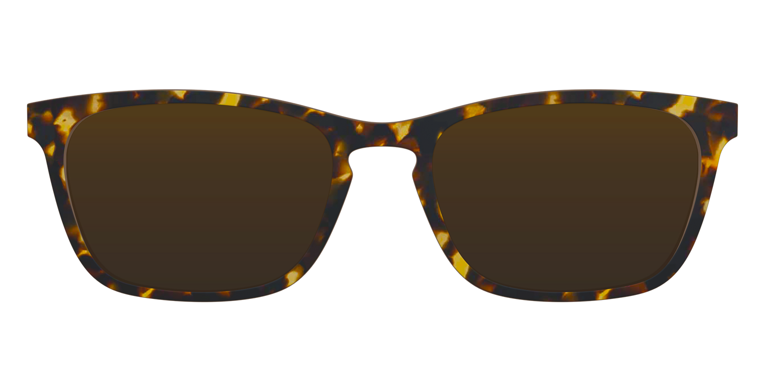 The Polarized Tortoise Sun Top - Front Top Image - Pair Eyewear