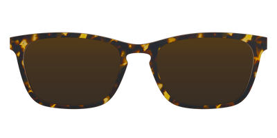 The Polarized Tortoise Sun Top - Front Top Thumbnail - Pair Eyewear
