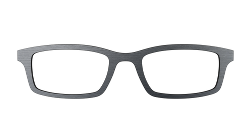 The Brushed Nickel - Pair Eyewear