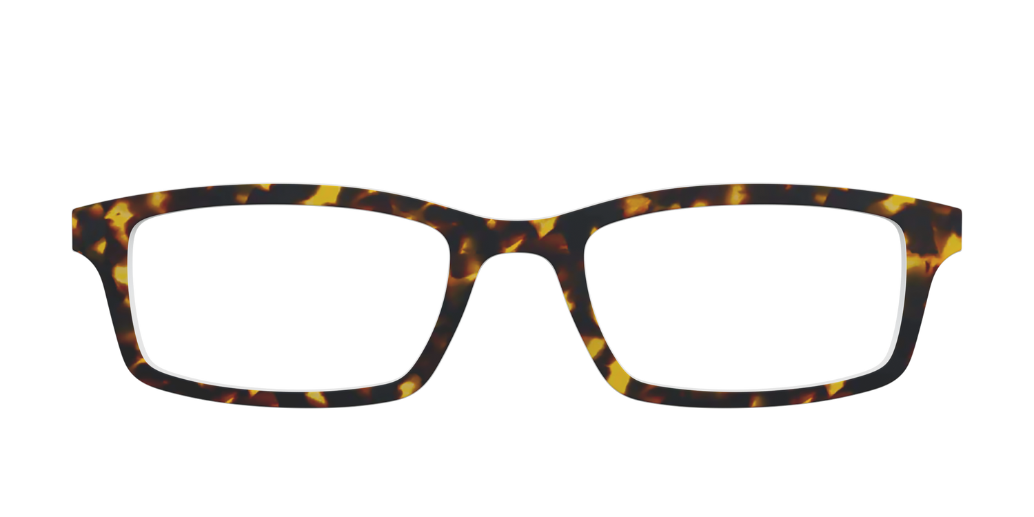 The Tortoise - Front Top Image - Pair Eyewear