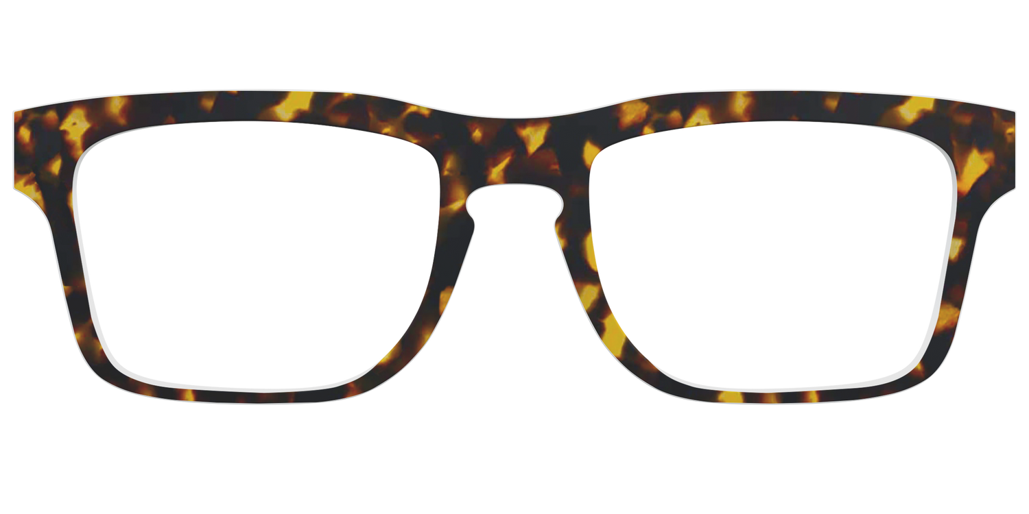 The Tortoise - Front Top Image - Pair Eyewear
