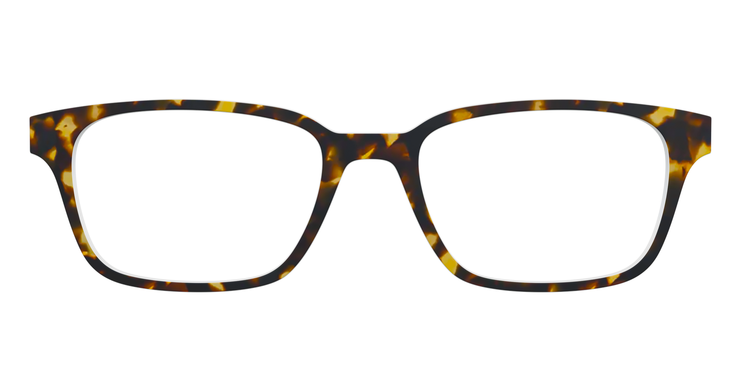 The Tortoise - Front Top Image - Pair Eyewear