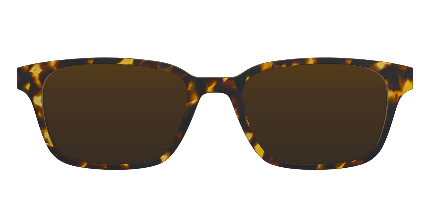 The Polarized Tortoise Sun Top - Front Top Image - Pair Eyewear