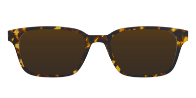 The Polarized Tortoise Sun Top - Front Top Thumbnail - Pair Eyewear
