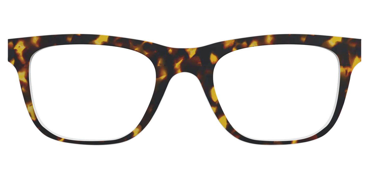 The Tortoise - Front Top Image - Pair Eyewear