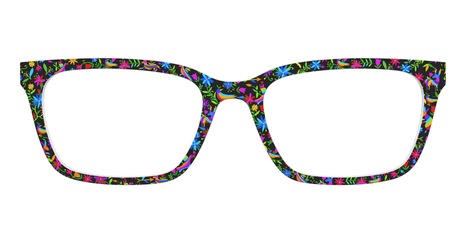 The Animals of Casa Azul - Front Top Image - Pair Eyewear