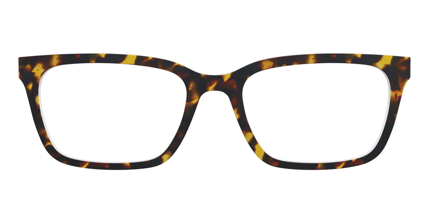 The Tortoise - Front Top Image - Pair Eyewear