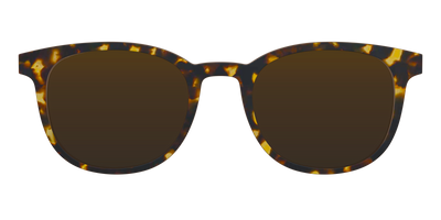 The Polarized Tortoise Sun Top - Front Top Thumbnail - Pair Eyewear