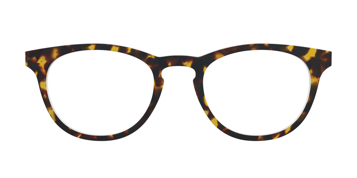 The Tortoise - Front Top Image - Pair Eyewear