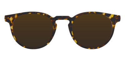 The Polarized Tortoise Sun Top - Front Top Thumbnail - Pair Eyewear