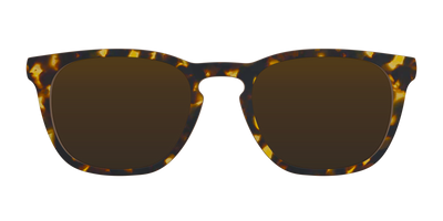The Polarized Tortoise Sun Top - Front Top Thumbnail - Pair Eyewear
